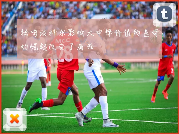 杨鸣谈科尔影响大中锋价值约基奇的崛起改变了局面
